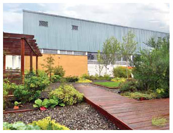 HMP & YOI Cornton Vale garden