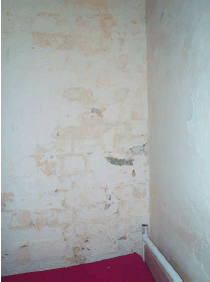 Condition of the cells that have been removed from use 3