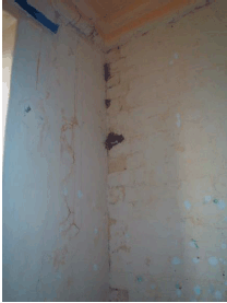 Condition of the cells that have been removed from use 4